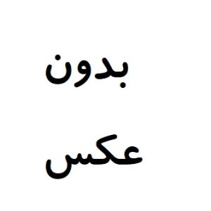 چراغ خطر عقب وسط تیگو 7 پرو